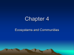 Chapter 4