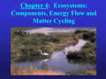 Environmental Science Chapter 4a 2005-06