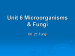 Unit 6 Microorganisms & Fungi