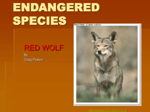 Endangered_Project_Paxton - Etiwanda E