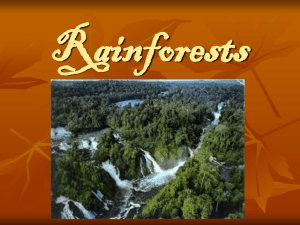 Rainforests - Ms Sheehan`s Website