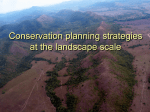Conservation planning strategies at the landscape scale