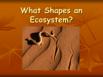 What Shapes an Ecosystem