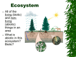 Ecology Terms