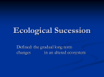 Ecological Sucession