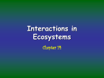 Chapter 14 Interactions in Ecosystems