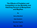 The Effects of Predation and Competition on the