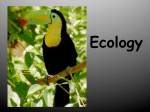 Basic Ecology Powerpoint BasicEcologyFIB-PPModified