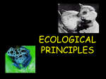 ecological principles - Central Dauphin School District