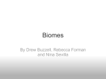 Biomes_Aquatic_Ecosystems_Presentation