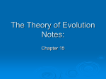 The Theory of Evolution Notes: