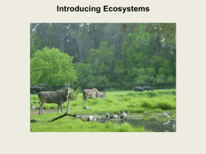 Introducing-Ecosystems-lesson