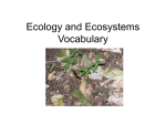 Ecology and Ecosystems Vocabulary