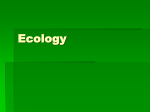 Ecology - World of Teaching
