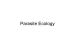 Parasite Ecology