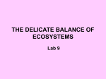 THE DELICATE BALANCE OF ECOSYSTEMS