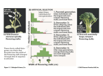 Biological Science 2/e