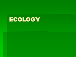 REACH Ecology