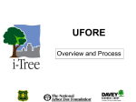 ufore - i-Tree