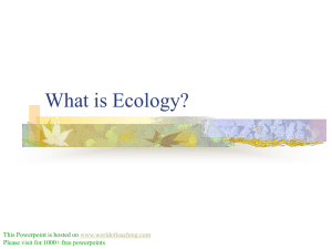 What is Ecology?