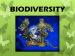 Biodiversity Overview 2