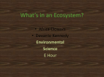 What`s in an ecosystem? - dpsrenenvironmentalscience