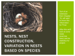 Nest construction and variation and some material from Chapter 15