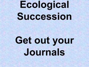 Ecological Succession