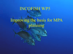 Improving the basis for MPA planning