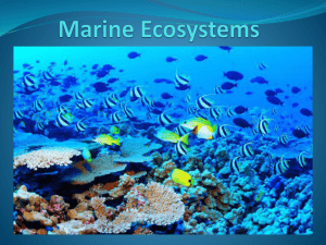 Marine Ecosystems