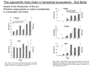 The saprotrofic food chain in terrestrial ecosystems : Soil Biota