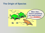 Speciation