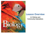 Lesson Overview - science-b