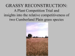 CPW_PRES - Cumberland Plain Seeds