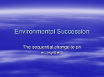Environmental Succession