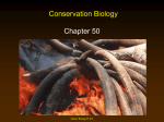 Chapter 50 Conservation Biology