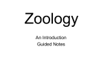 Zoology - COACH JANOWIAK