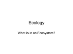 Ecology ppt