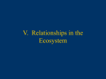 V. Relationships in the Ecosystem