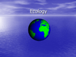 Ecology