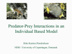 Predator Prey Interactions in an Individual Based Model