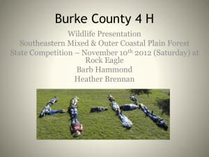 Burke County 4 H