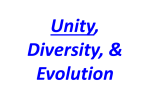 Unity, Diversity, & Evolution