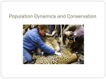 Population Dynamics and Conservation