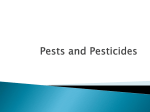 SNC1PL Pests and Pesticides