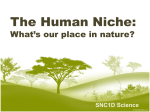 Human Niche - Stosich Science