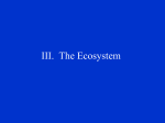 III. The Ecosystem