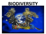 BIODIVERSITY The variety of different species in an ecosystem. All