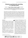 Rickettsia associated with male-killing in a buprestid beetle