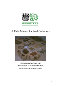 A Field Manual for Seed Collectors SEED COLLECTING FOR THE